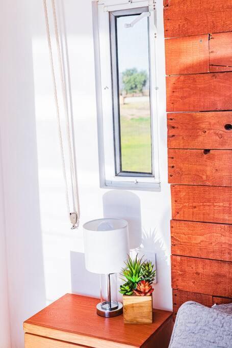 Cabana El Alamo Con Jacuzzi Villa Guadalupe Eksteriør billede