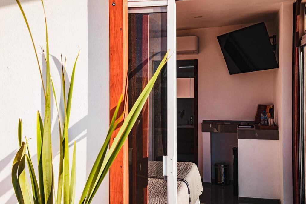 Cabana El Alamo Con Jacuzzi Villa Guadalupe Eksteriør billede